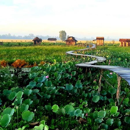 Viet Mekong Farmstay Tram Chim Exterior photo